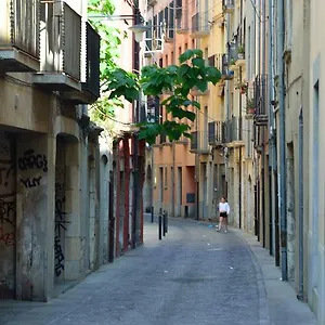 Apartment Housing Ginesta 9, Girona